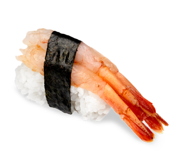 Nigiri Amaebi