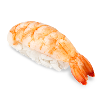 Nigiri Ebi