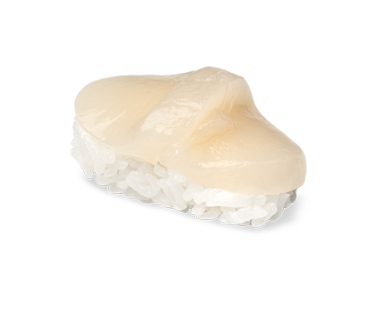 Nigiri Hotate