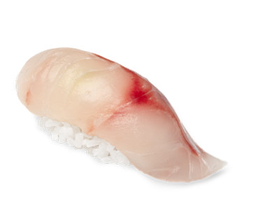 Nigiri Suzuki